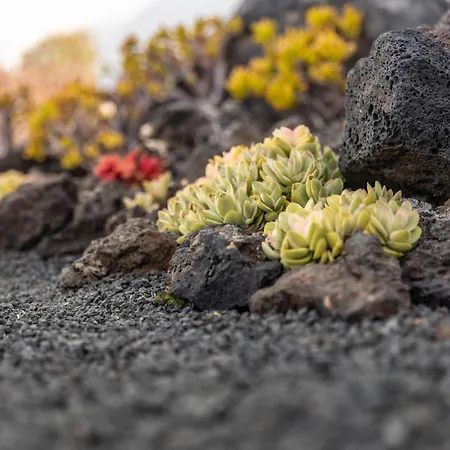 Prázdninový dům Casa Alice Playa Blanca (Lanzarote)