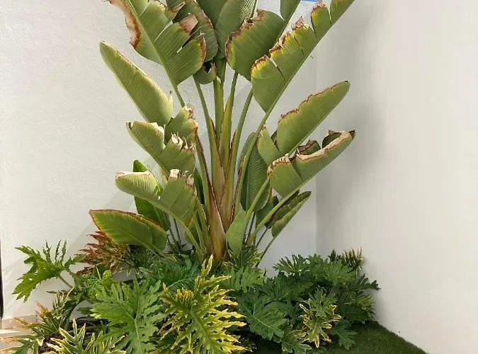 بيت للعطل Casa Alice *